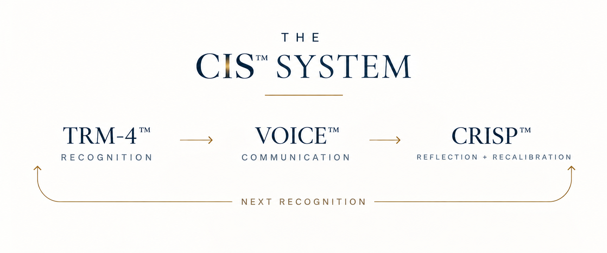 The CIS system: TRM-4 recognition, VOICE communication, CRISP reflection and recalibration, returning to the next recognition.